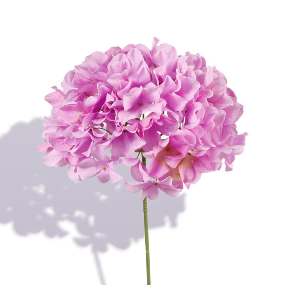 ORTENSIA SINGOLA CM.76   LAVANDA